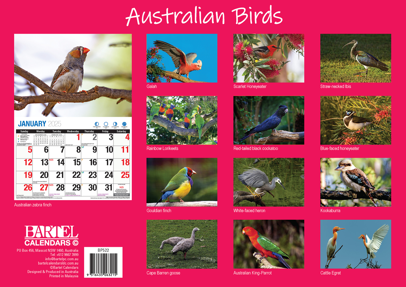 2025 Australian Birds Big Print Wall Calendar