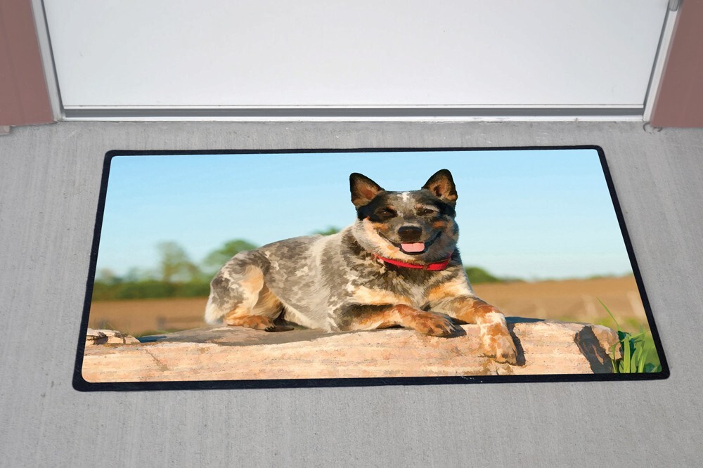 Dog Breed Doormat Animal Door Mat 68x45cm Blue Heelers Free