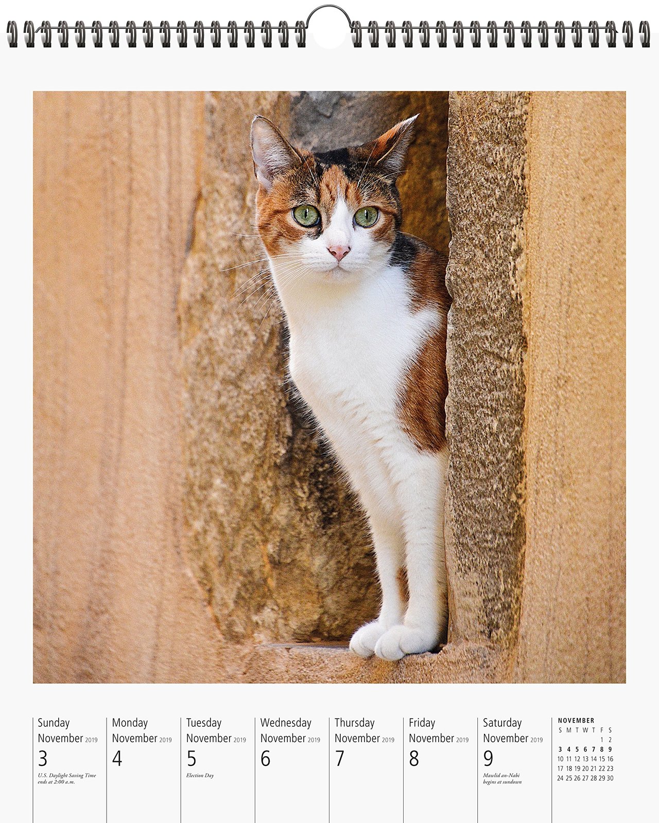 2019 Cat PageAWeek Gallery Wall Calendar NEW by Workman eBay