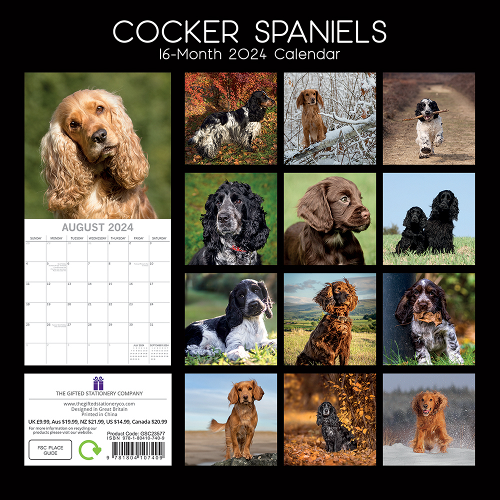 2024 Calendar Cocker Spaniels Square Wall by The Gifted Stationery