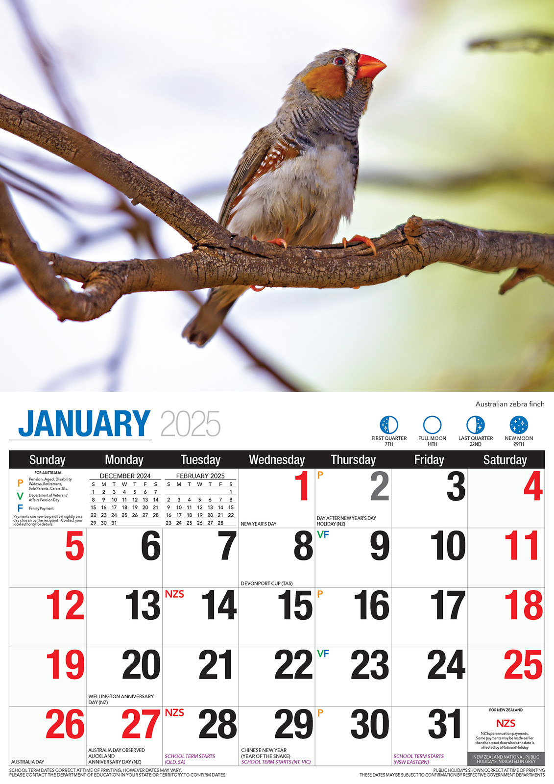 2025 Australian Birds Big Print Wall Calendar