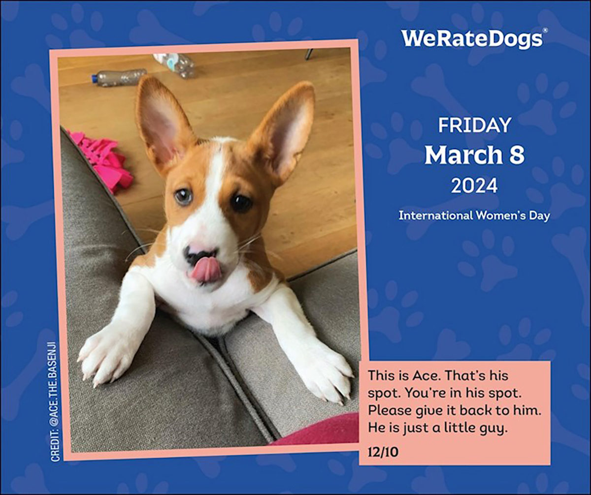 WeRateDogs 2024 DaytoDay Boxed Calendar by Matt Nelson