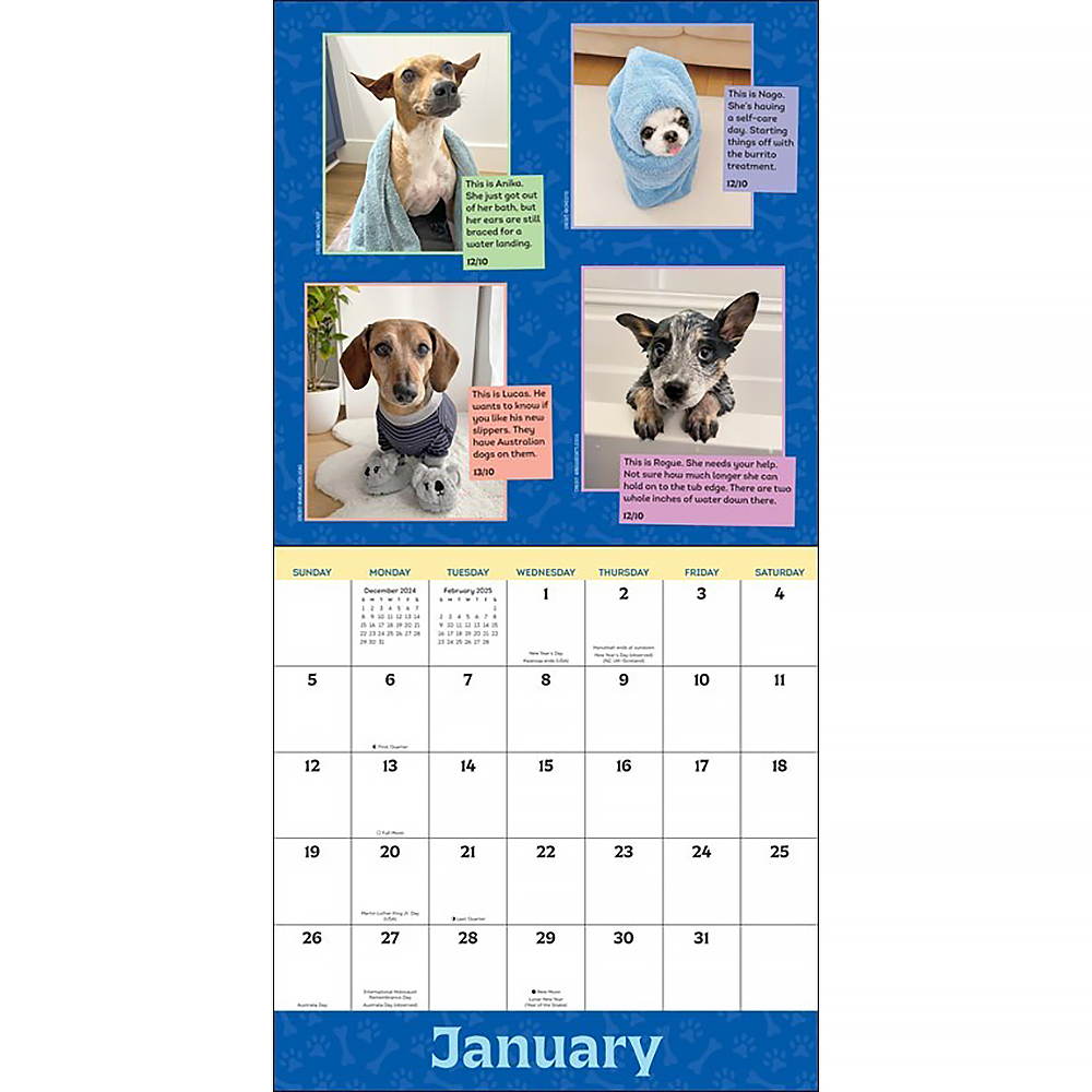 WeRateDogs 2025 Wall Calendar