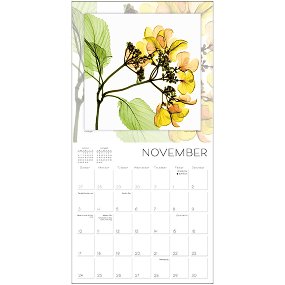 Flower Spirits 16Month 2024 Square Wall Calendar by Steven N. Meyers