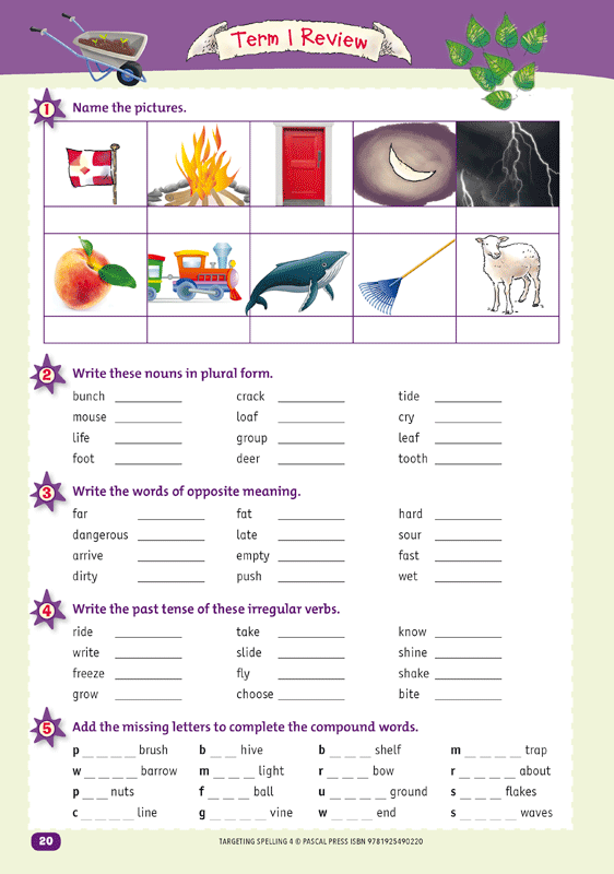 targeting homework year 4 pdf