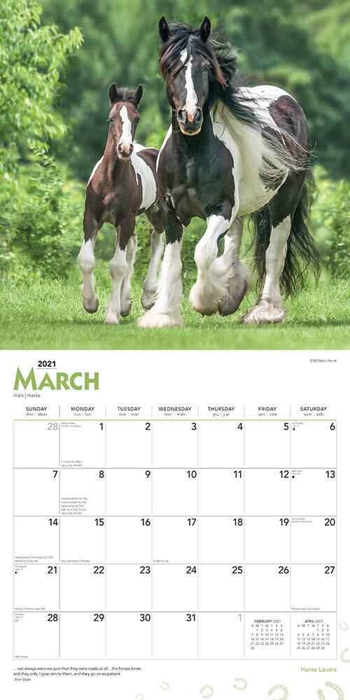 2021 Calendar Horse Lovers Square Wall by Browntrout BT21007 eBay