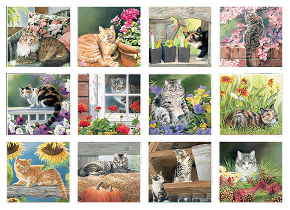 2023-calendar-cats-in-the-country-by-susan-bourdet-lang-23991001899-lang