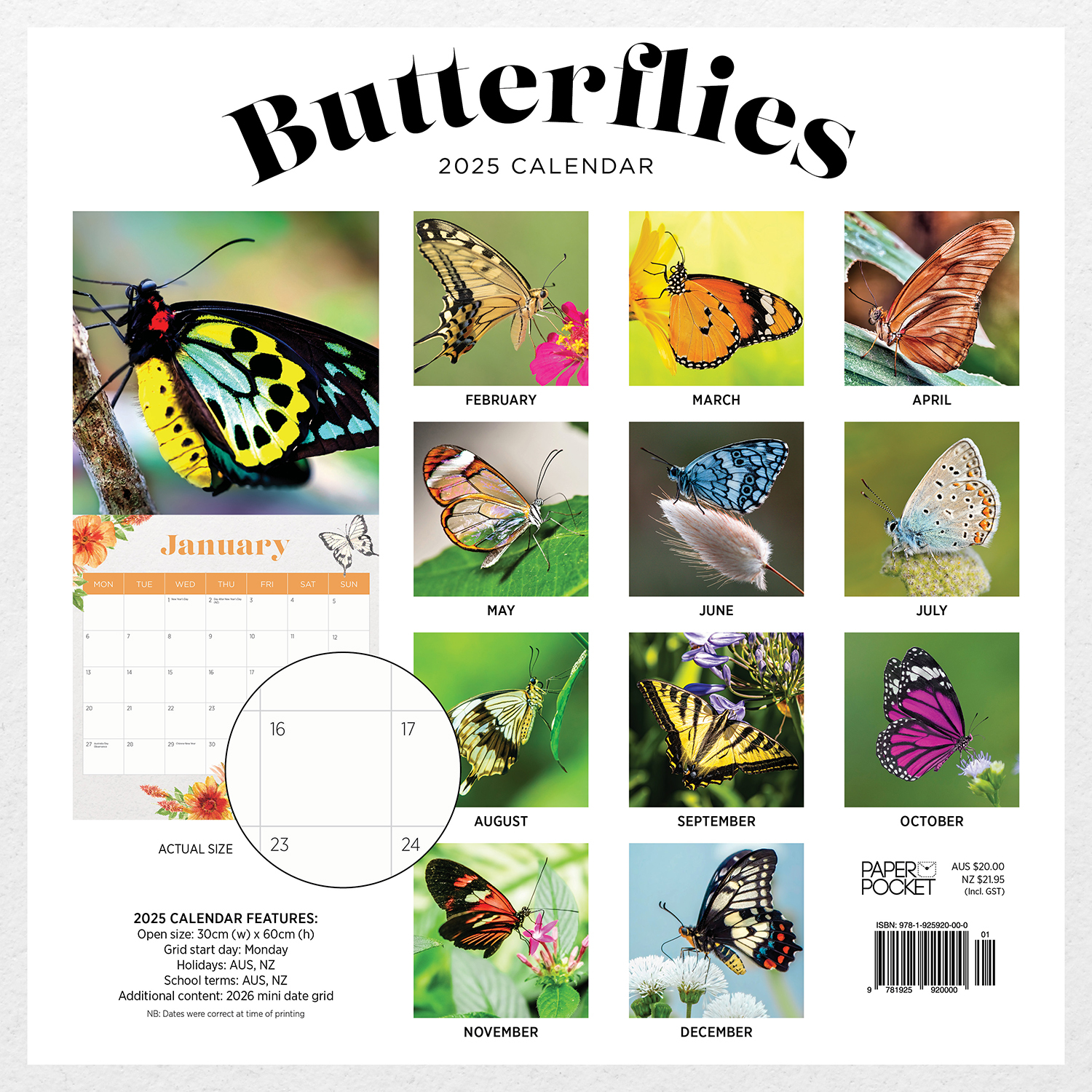 2020 Butterflies Square Wall Calendar by Paper Pocket 81306 Paper