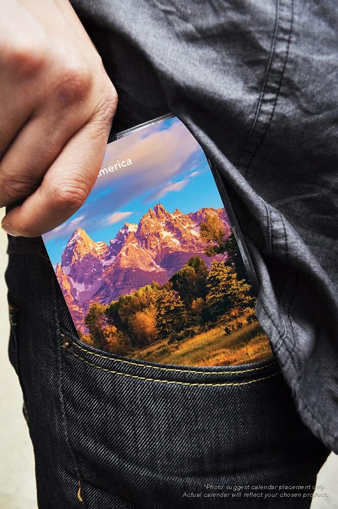 Moleskine Calendar 2023 20222023 2Year Diary Bonnie Marcus Believe in Yourself Monthly Pocket Planner Browntrout