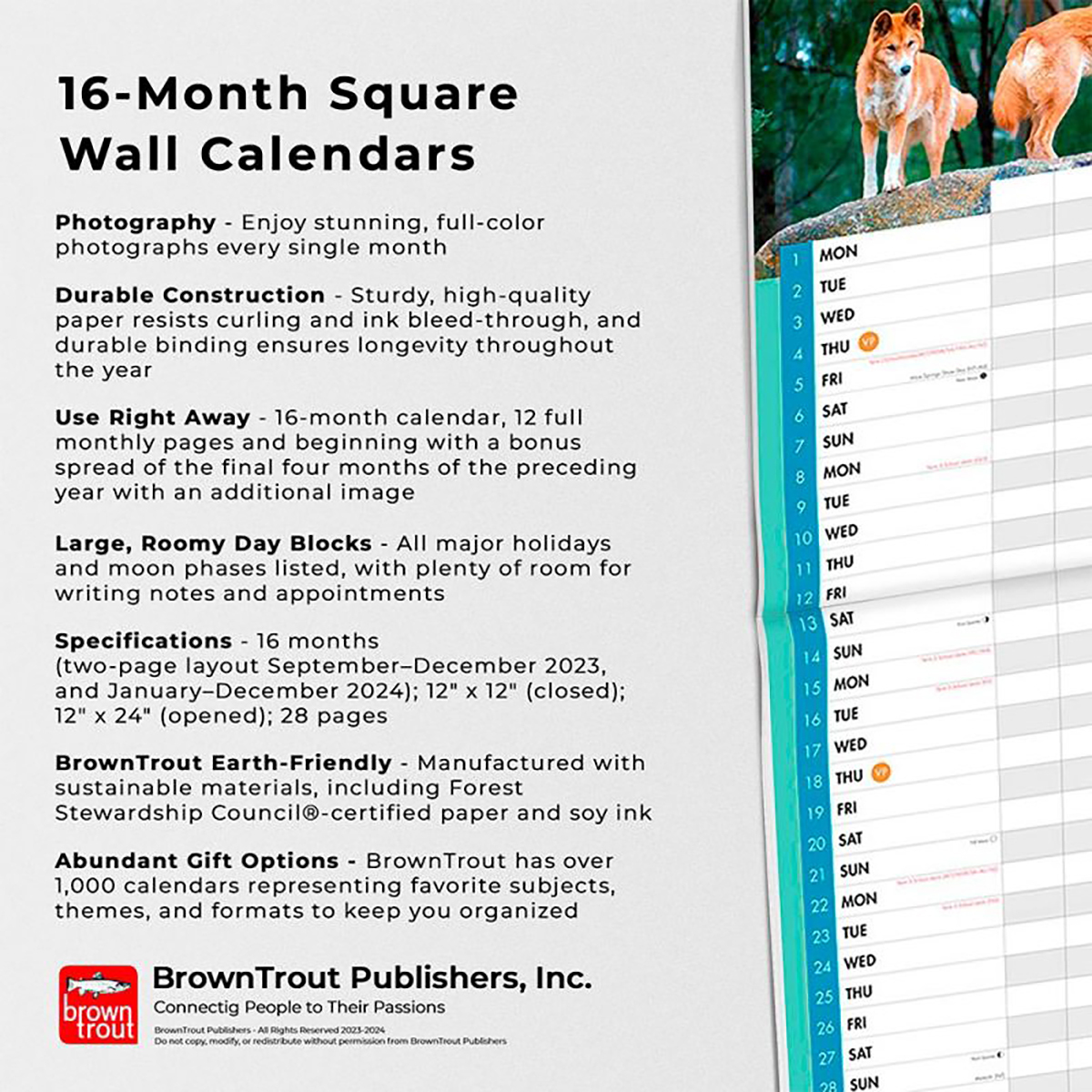 Family Planner 2024 Square Wall Calendar by Browntrout