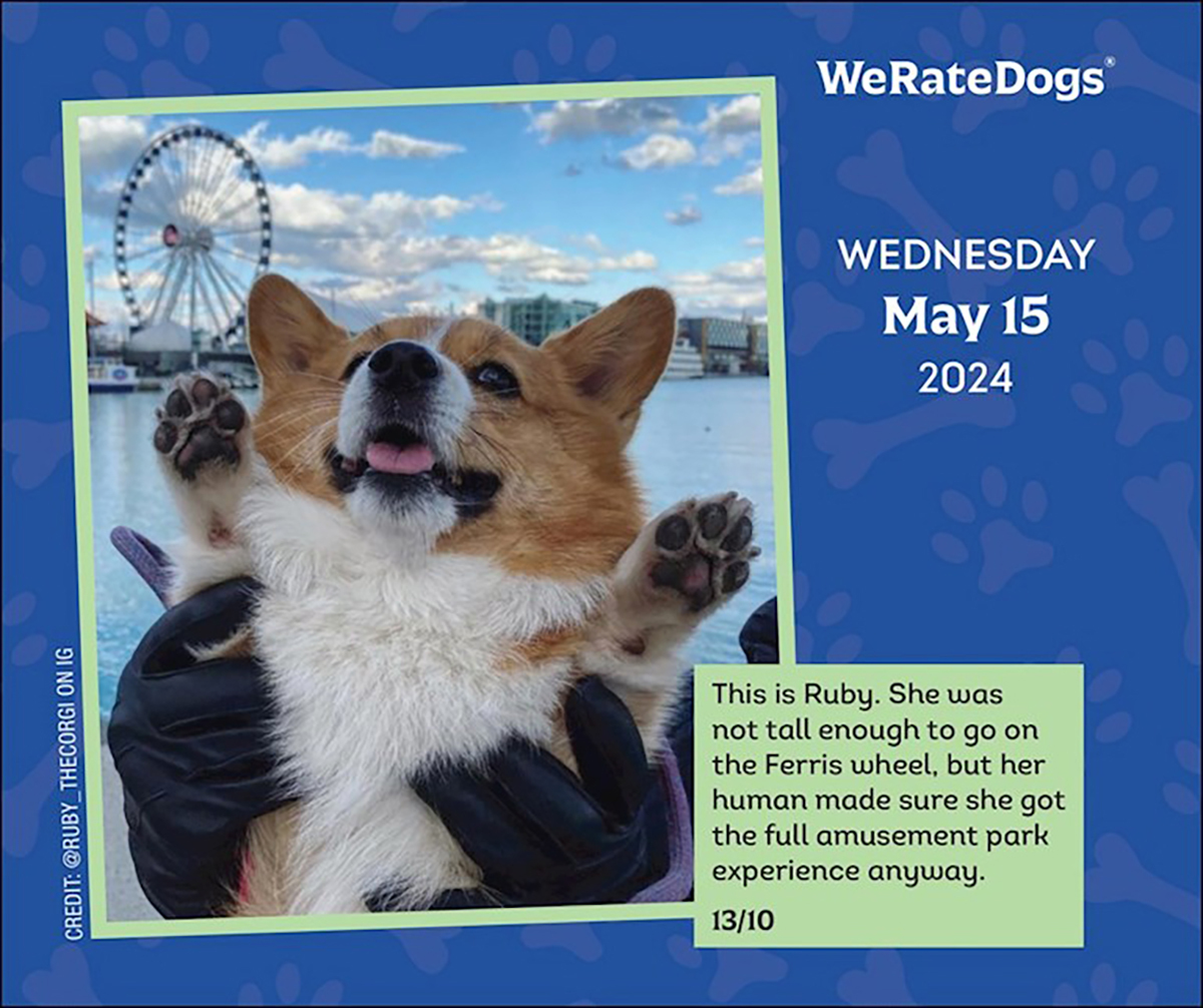 WeRateDogs 2024 DaytoDay Boxed Calendar by Matt Nelson