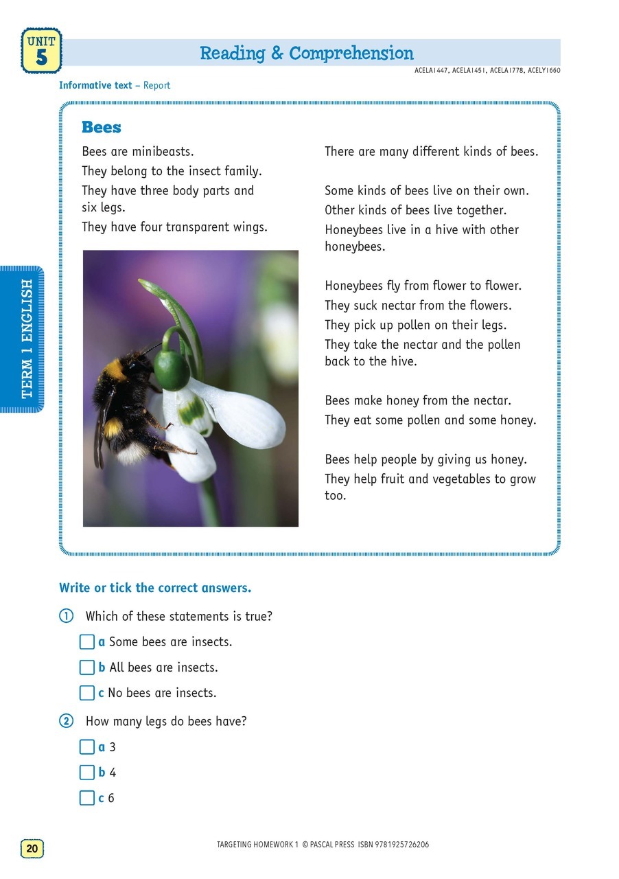 year 1 homework book