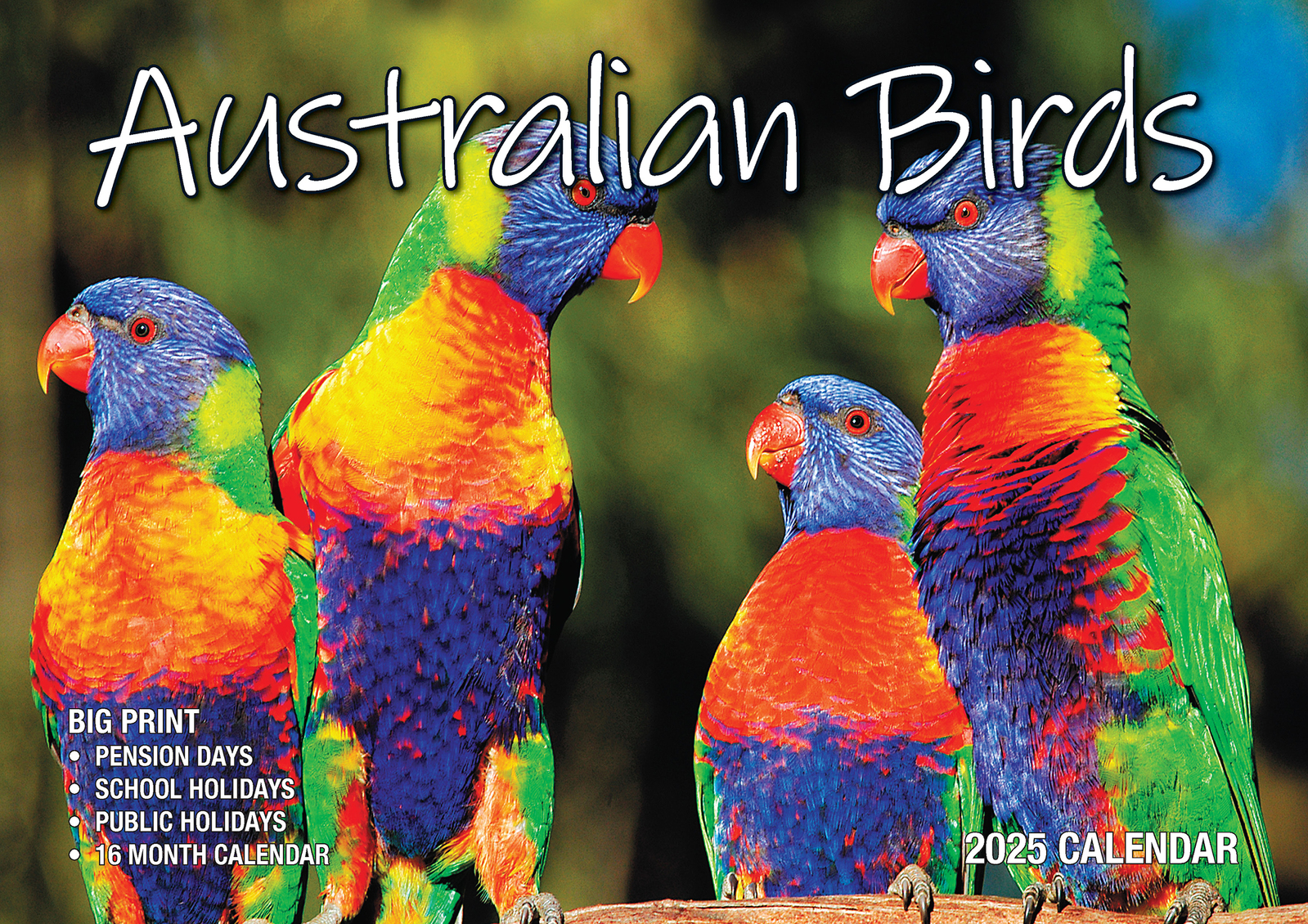 2025 Australian Birds Big Print Wall Calendar