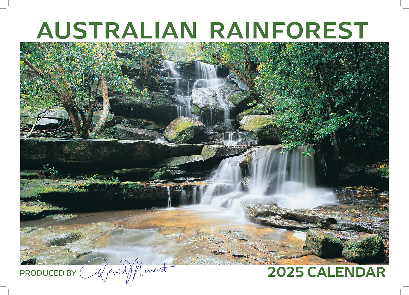 2025 Australian Rainforest Wall Calendar by David Messent