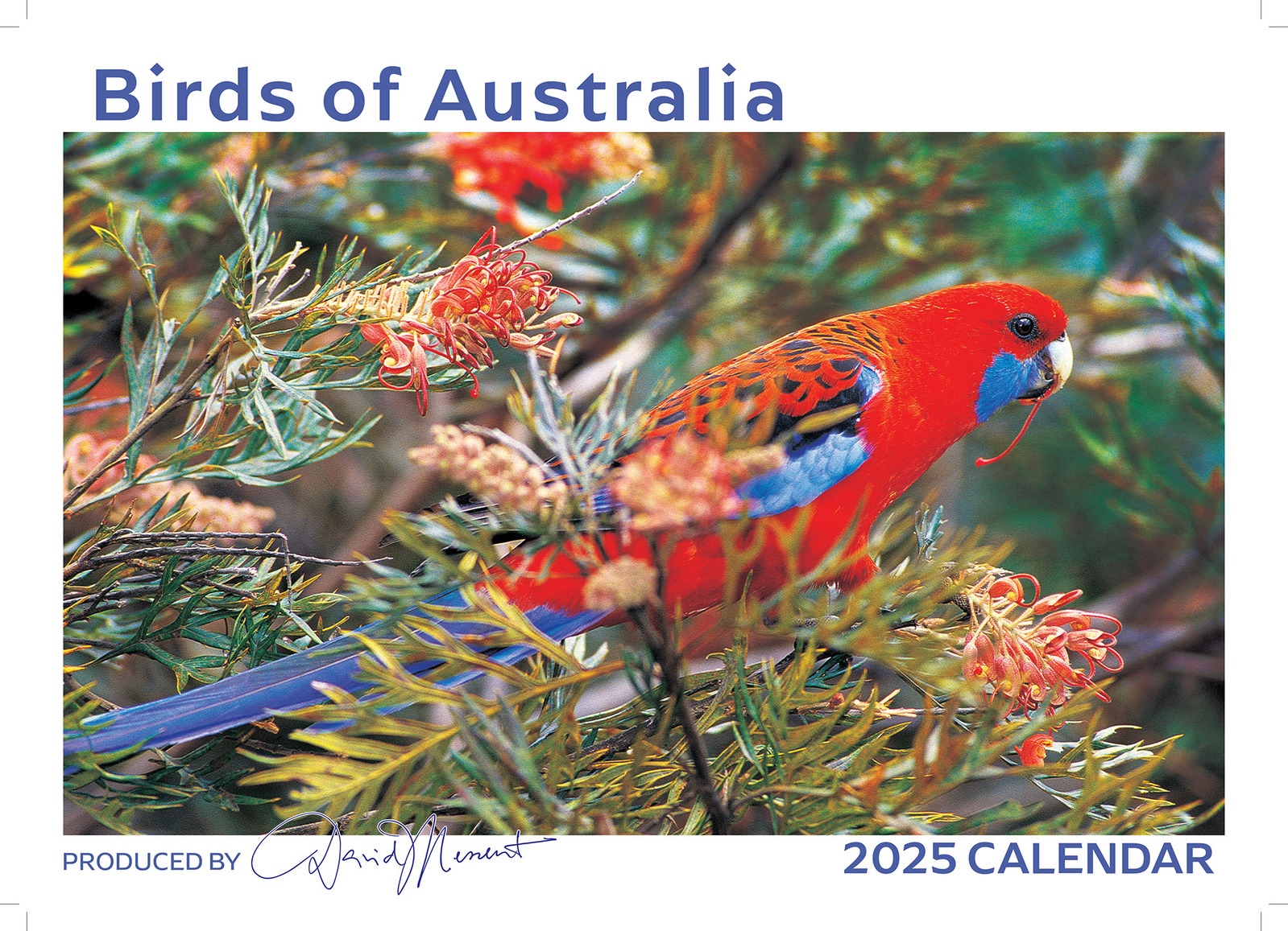 2025 Birds of Australia Wall Calendar by David Messent