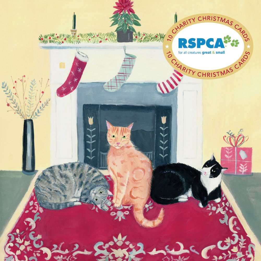 Charity Christmas Card RSPCA Cats Stocking