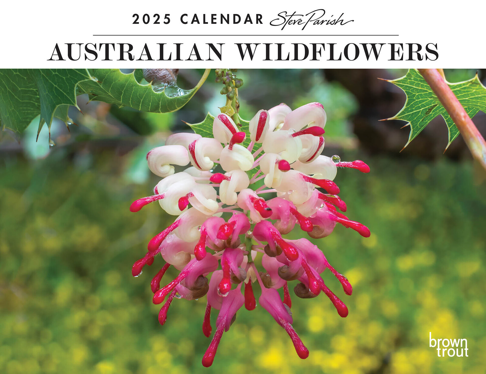 Steve Parish Australian Wildflowers 2025 Wall Calendar