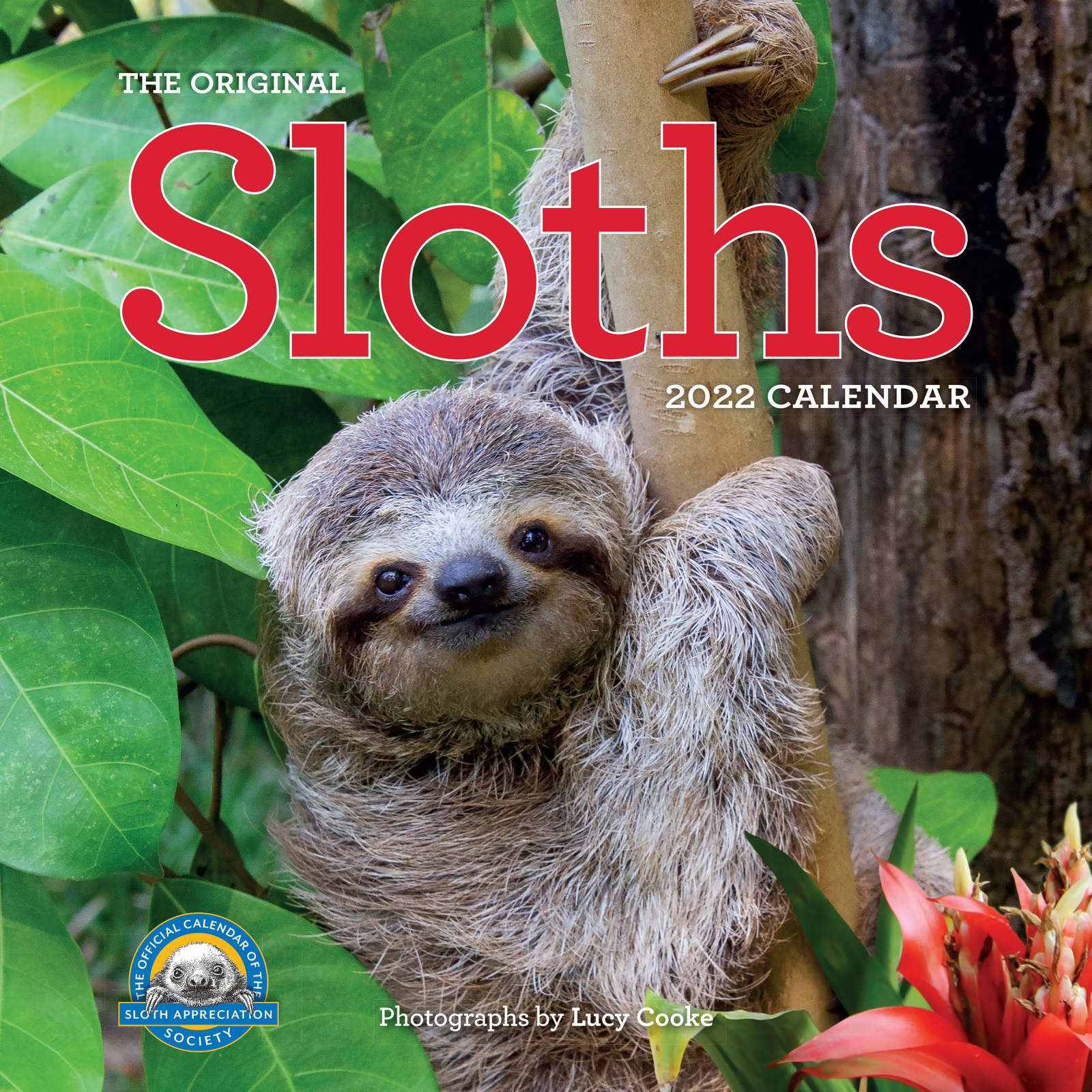 Sloth Calendar 2023 2022 Calendar The Original Sloths Square Wall By Workman W12140 - Workman  Publishing