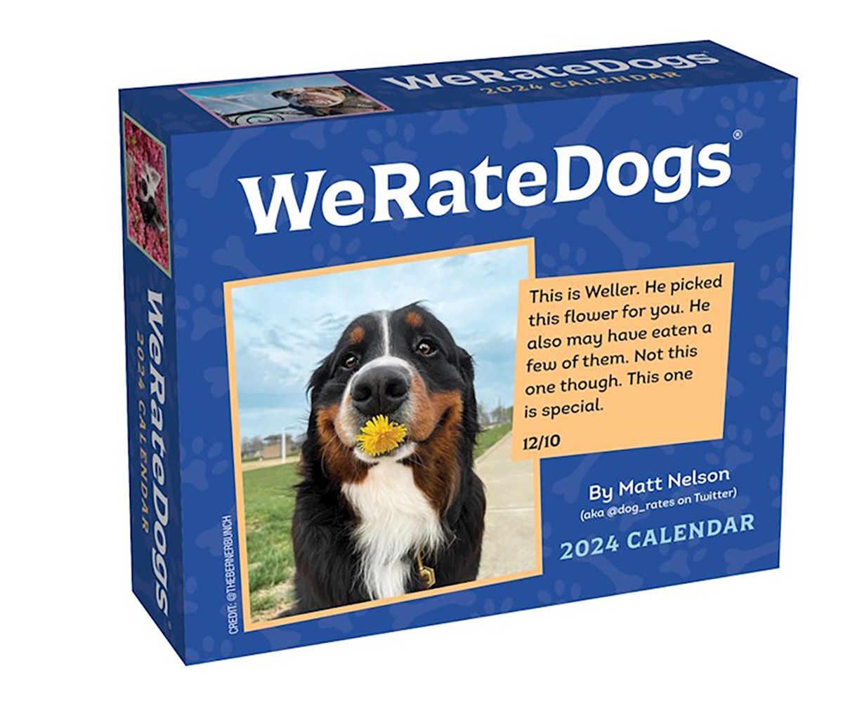 weratedogs-2024-day-to-day-boxed-calendar-by-matt-nelson