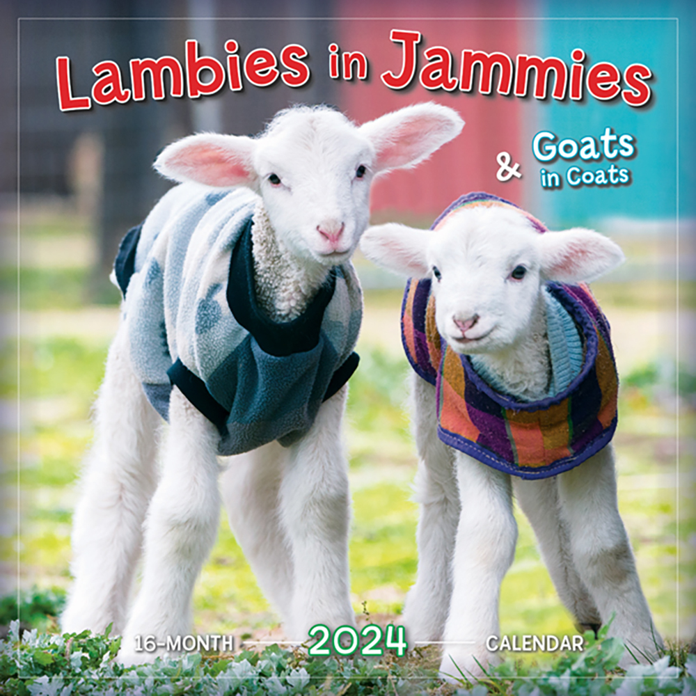 Lambies in Jammies & Goats in Coats 16Month 2025 Square Wall Calendar