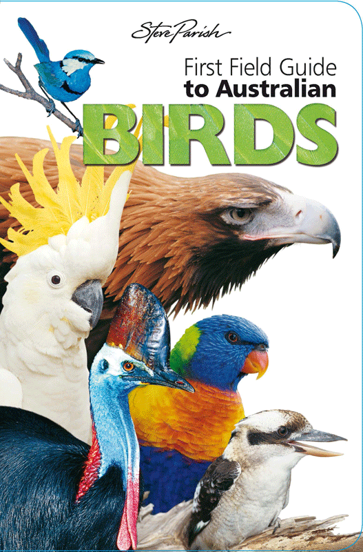 Steve Parish First Field Guide Australia Birds Paperback 9781925127690