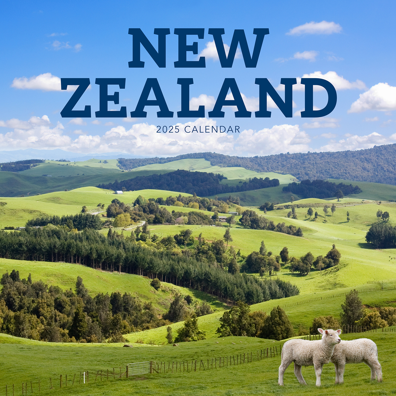 2022 Calendar New Zealand Square Wall by Paper Pocket Paper Pocket