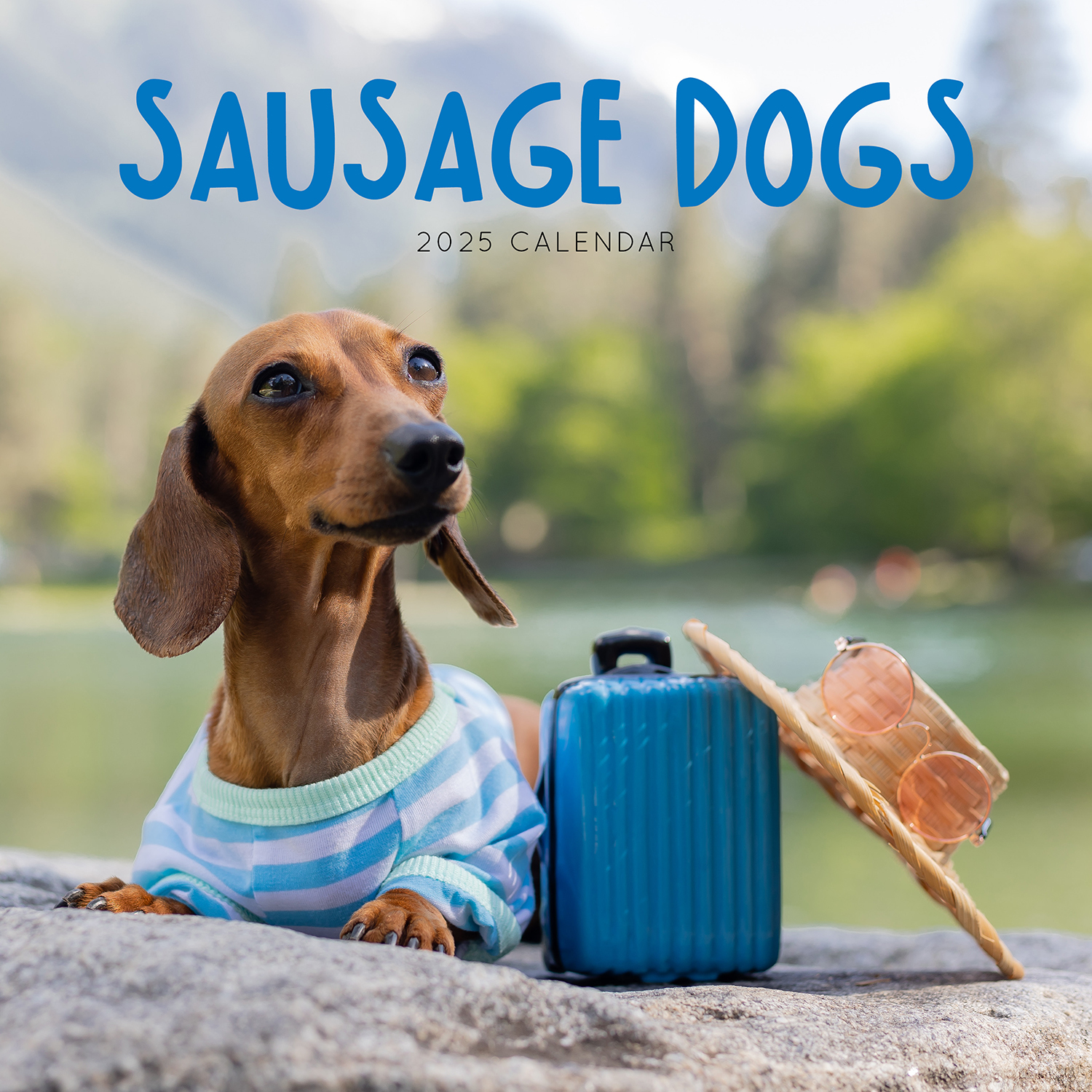2020 Sausage Dogs Square Wall Calendar by Paper Pocket 81308 SOLD OUT