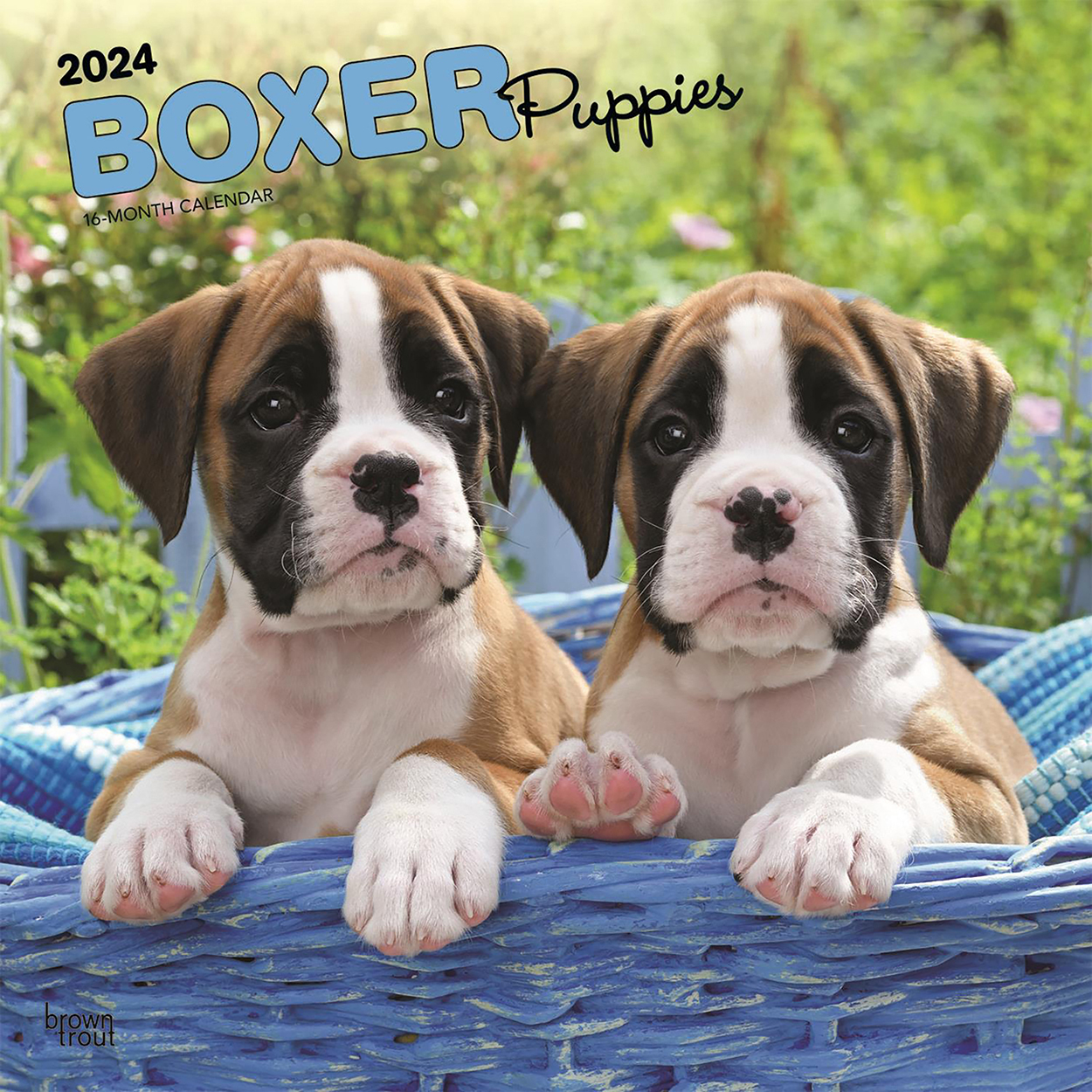 Boxador puppies near sales me