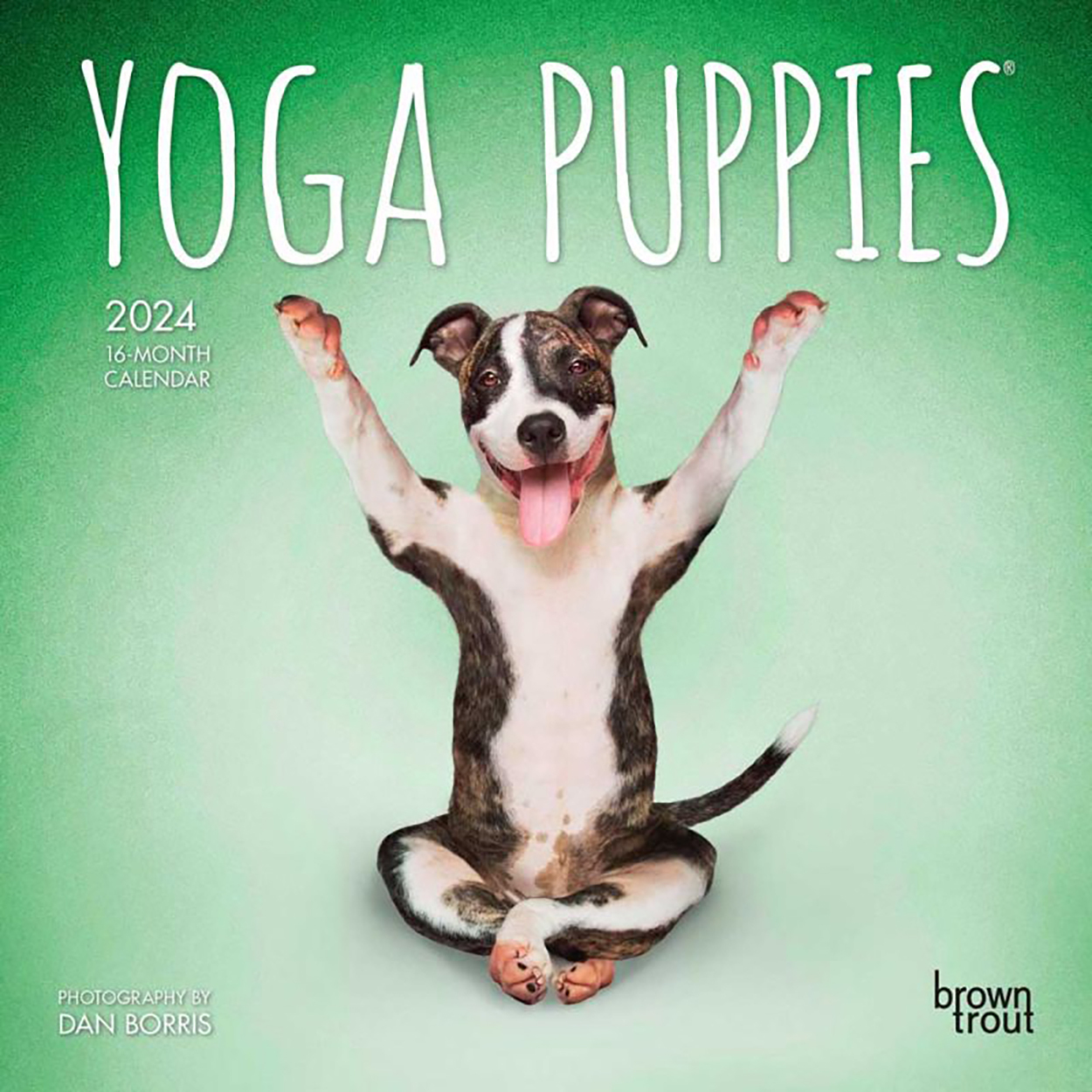 Yoga Puppies 2024 16-Month Mini Wall Calendar by Browntrout