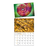 2026 Calendar Inspirations A4 Horizontal Wall, easy2C 4223
