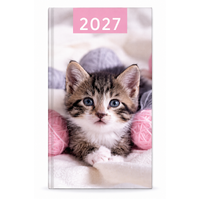 2027 Diary Design Group Fashion Kitten Slim Week to View, YCORDIA5A006