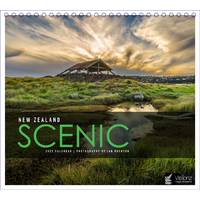 2022 Calendar New Zealand Scenic Desk by John Sands