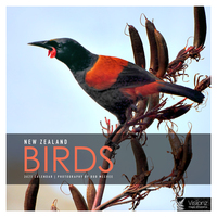 2022 Calendar New Zealand Birds Mini Wall by John Sands