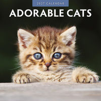 2027 16-Month Calendar Adorable Cats Square Wall, Red Robin RR271001