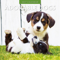 2027 16-Month Calendar Adorable Dogs Square Wall, Red Robin RR271002