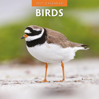 2027 16-Month Calendar Birds Square Wall, Red Robin RR271007