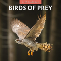 2027 16-Month Calendar Birds of Prey Square Wall, Red Robin RR271008