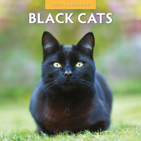 2027 16-Month Calendar Black Cats Square Wall, Red Robin RR271009