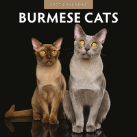 2027 16-Month Calendar Burmese Cats Square Wall, Red Robin RR271012
