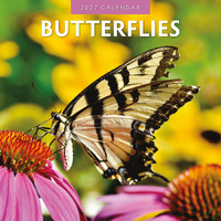 2027 16-Month Calendar Butterflies Square Wall, Red Robin RR271013