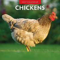 2027 16-Month Calendar Chickens Square Wall, Red Robin RR271016