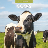 2027 16-Month Calendar Cows Square Wall, Red Robin RR271018