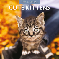 2027 16-Month Calendar Cute Kittens Square Wall, Red Robin RR271019