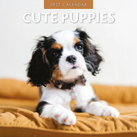 2027 16-Month Calendar Cute Puppies Square Wall, Red Robin RR271020