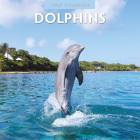 2027 16-Month Calendar Dolphins Square Wall, Red Robin RR271022