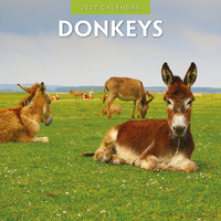 2027 16-Month Calendar Donkeys Square Wall, Red Robin RR271023