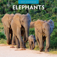 2027 16-Month Calendar Elephants Square Wall, Red Robin RR271024