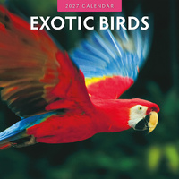 2027 16-Month Calendar Exotic Birds Square Wall, Red Robin RR271025