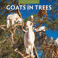 2027 16-Month Calendar Goats in Trees Square Wall, Red Robin RR271030