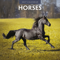 2027 16-Month Calendar Horses Square Wall, Red Robin RR271034